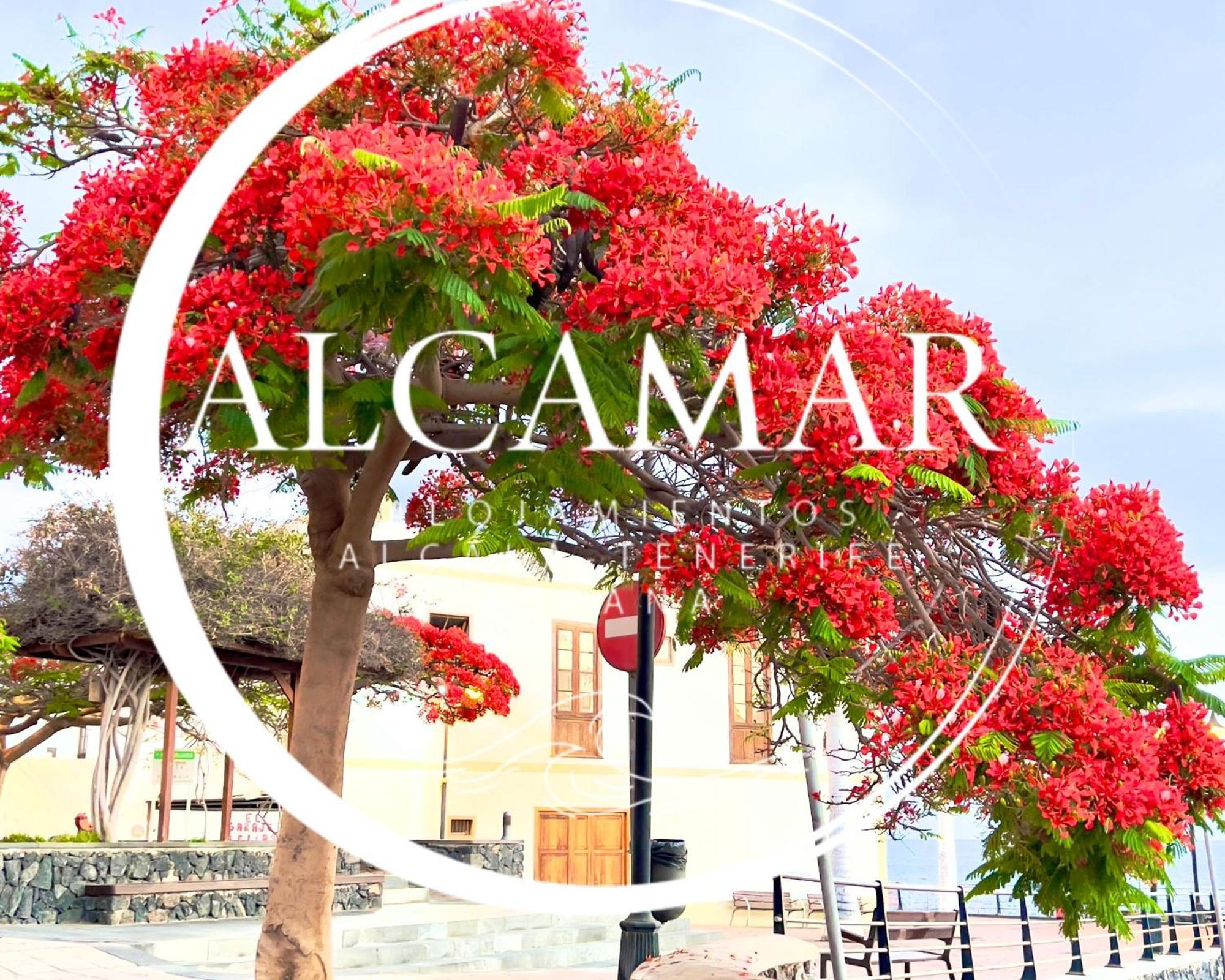 Alcamar Habitacion Privada Con Las Areas De Sala, Cocina Y Bano Que Se Comparten Cerca Al Mar! Alcalá la Real エクステリア 写真